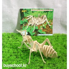 ANT(개미)