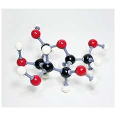 포도당(C6H12O6)만들기-5인용