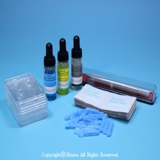혈액형판정세트(7종)