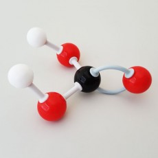 분자구조만들기-탄산만들기(5인용)