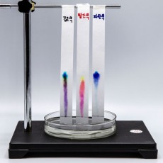 크로마토그래프지(긴거름종이-20×200mm)/색소분리실험/막대형 거름종이