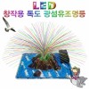 LED 창작용 독도 광섬유조명등