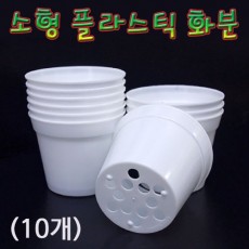소형 플라스틱 화분(10개)