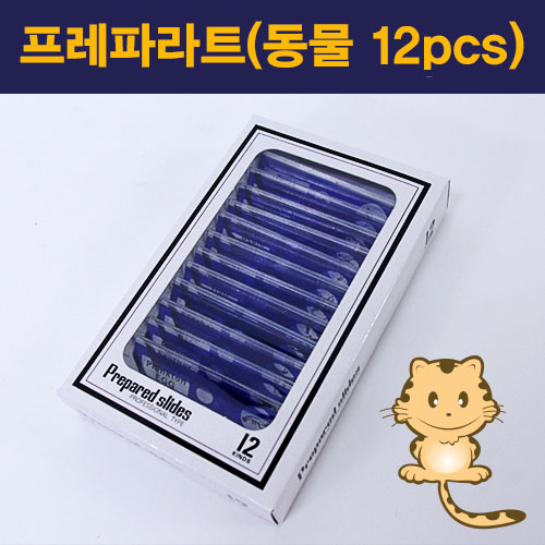 프레파라트(동물 12pcs)