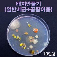 배지만들기(일반세균+곰팡이)-10인용