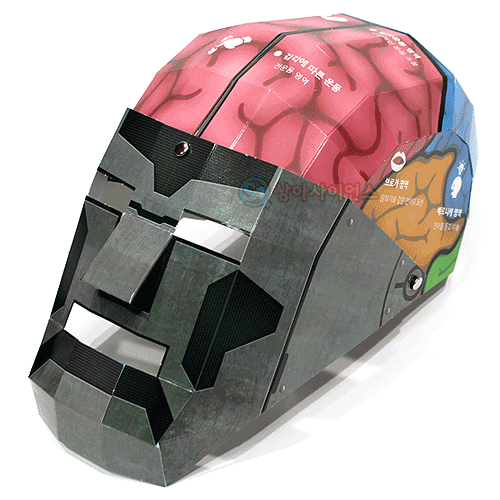 인체의신비-뇌구조 마스크