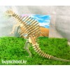 SPINOSAURUS(스피노사우루스)