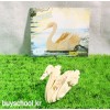 SWAN(백조)