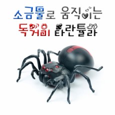 소금물로 움직이는 독거미 타란튤라