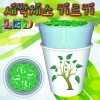 LED 새싹채소 기르기(씨앗발아기)