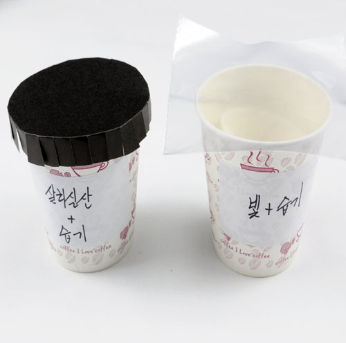 방부제와 곰팡이 5명 set