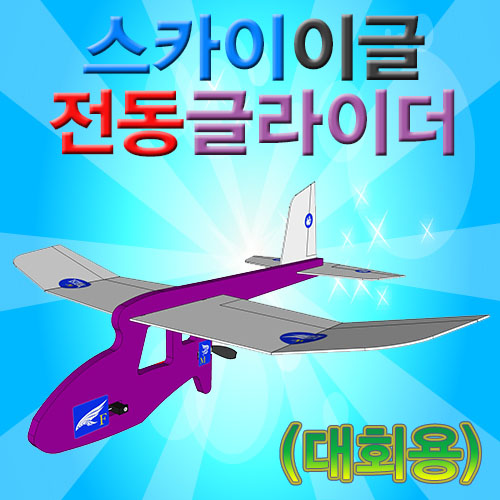 스카이이글 전동글라이더(대회용)