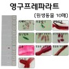 영구프레파라트 - 원생동물 10매