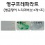 영구프레파라트 - 느타리버섯 빵곰팡이