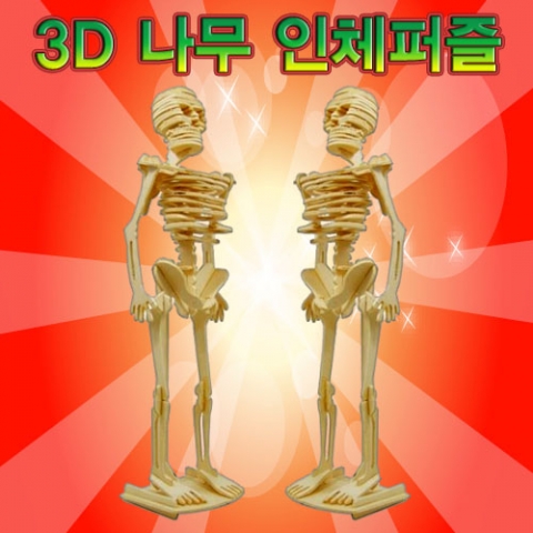 3D 나무 인체퍼즐